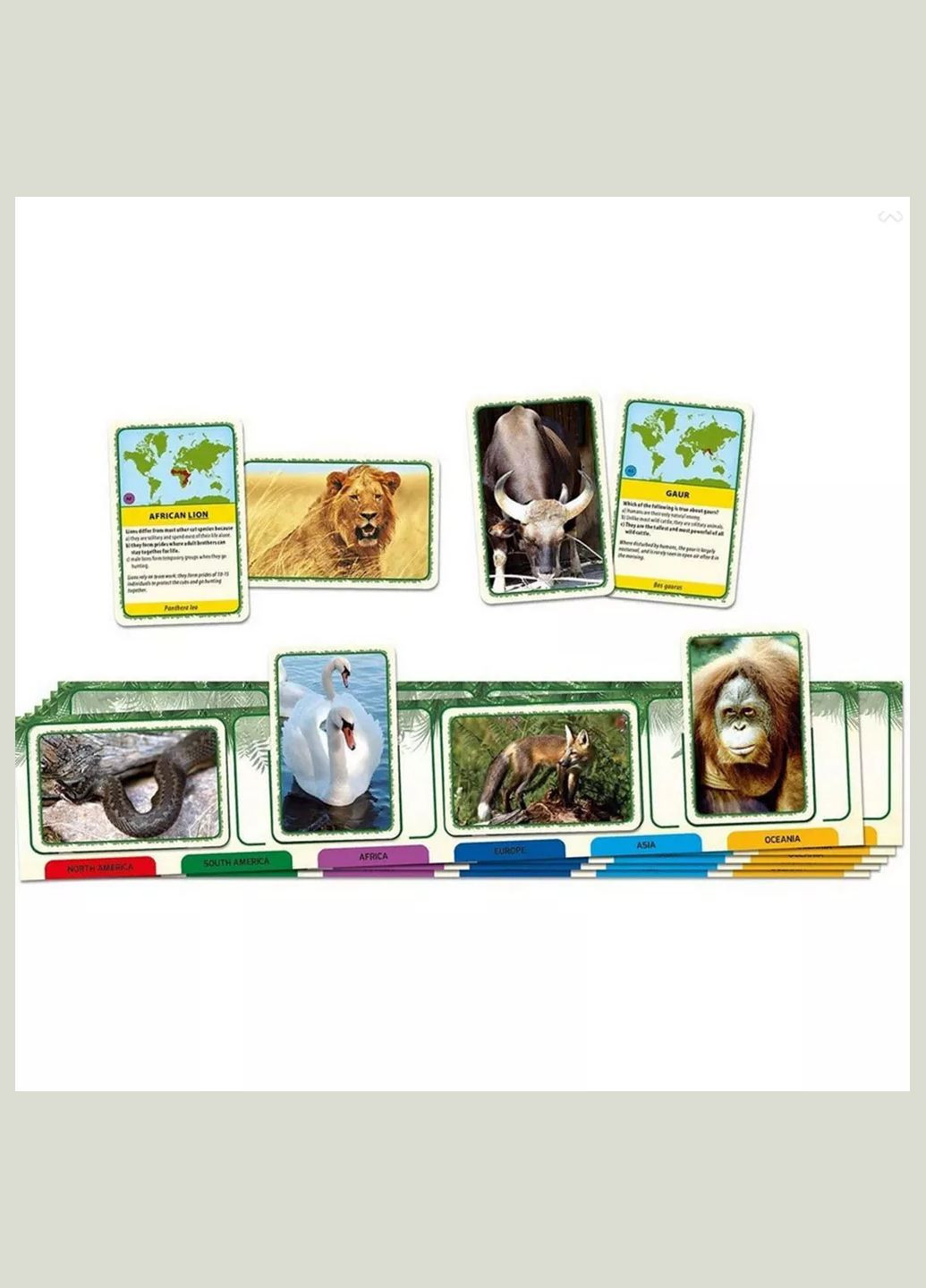 Гра настільна Тварини світу (60497) Tactic (333252703)