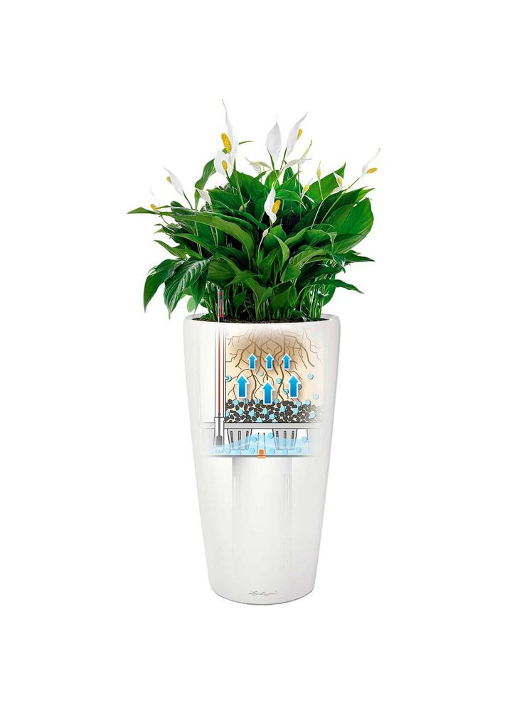 Кашпо Rondo 32 Білий (15780) Lechuza (323101910)