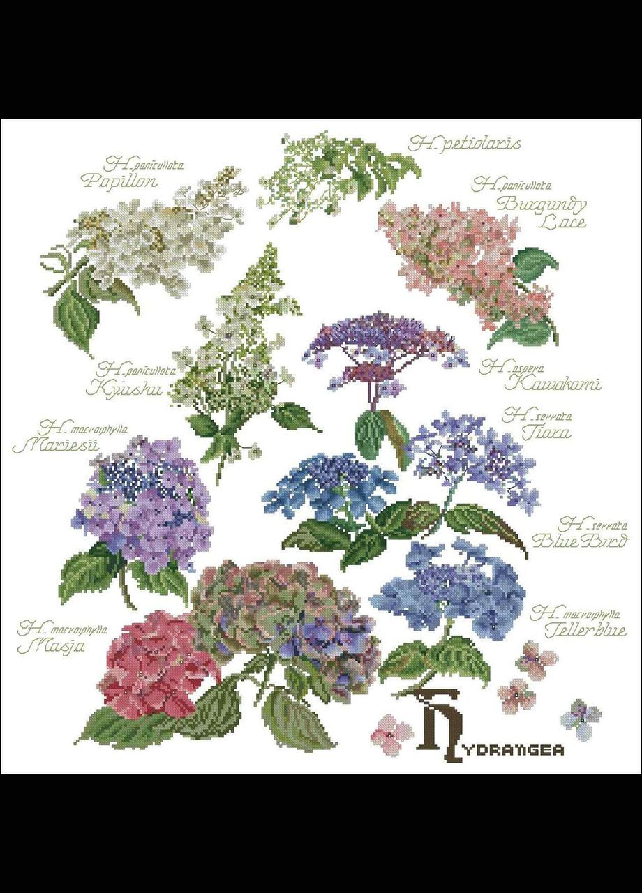 Набір для вишивання хрестиком. Розмір: 40*41 см Гортензія Лоскуток (315357202)