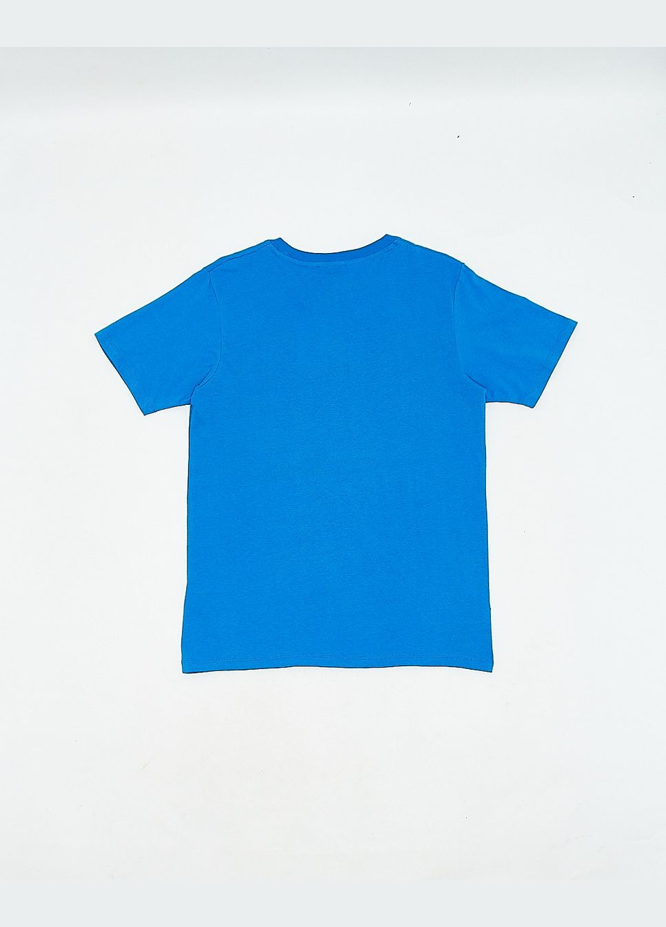 Синяя футболка basic,синий-желтый с принтом, Wesc
