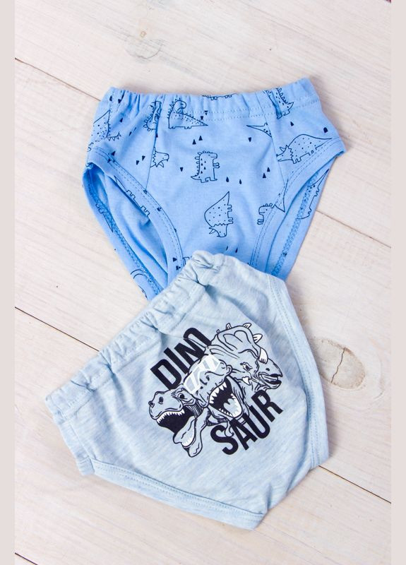 Комплект трусиків для хлопчика (2шт) (p-10582) Носи своє (363043424)