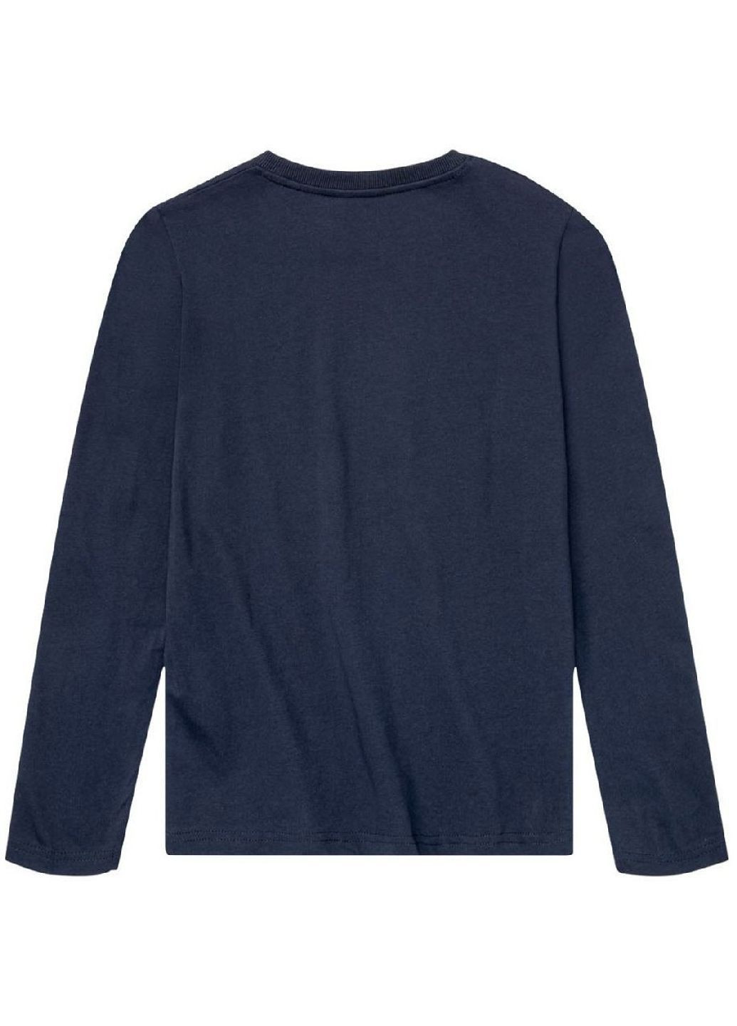 Сіро-синя всесезон бавовняна піжама (лонгслів, штани) лонгслів + брюки Pepperts