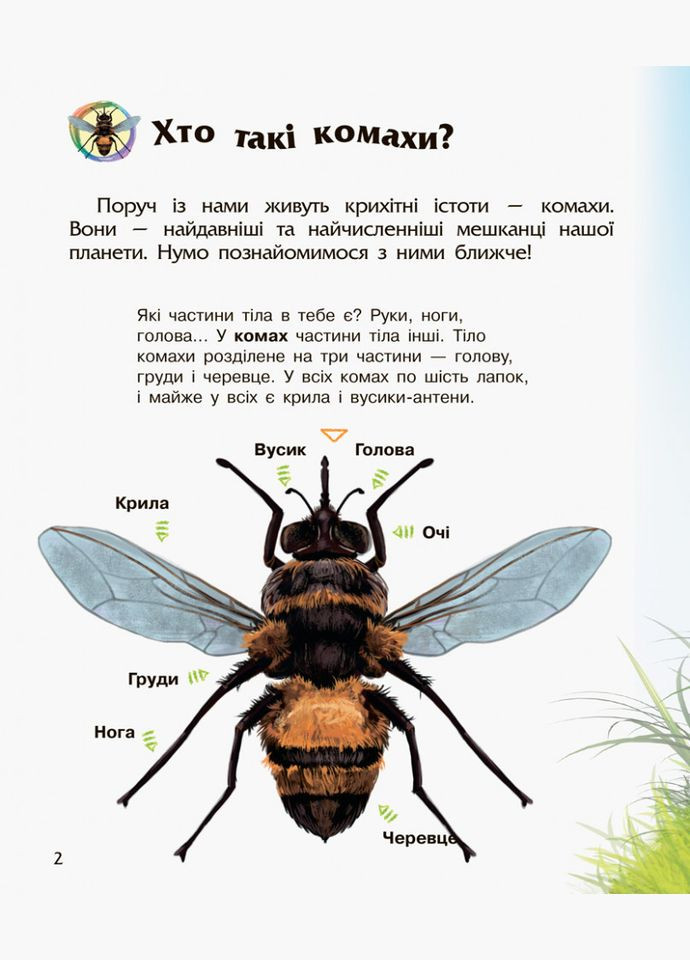 Детская энциклопедия про насекомых 614014 для дошкольников No Brand (316527091)