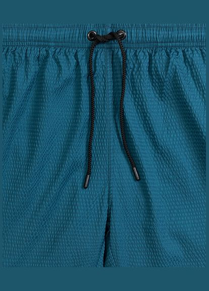 Мужские пляжные шорты Atlantic (329204480)