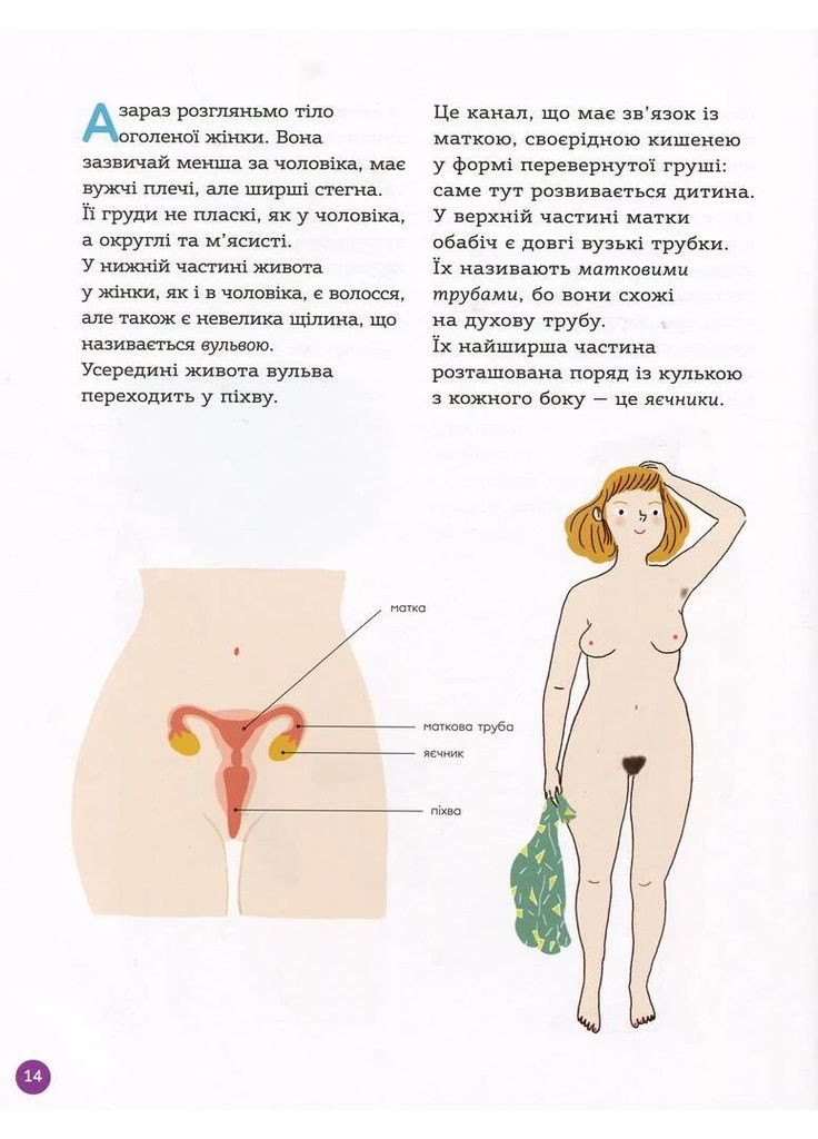 Енциклопедія статевого життя. 7-9 років Основа (370058087)