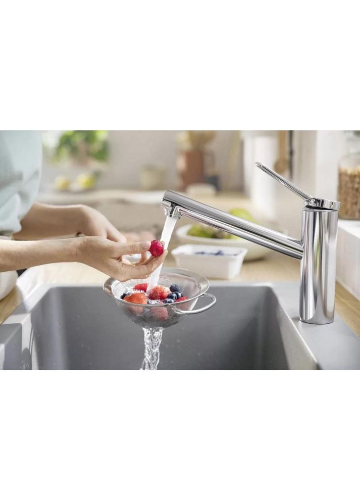 Смеситель для кухонной мойки Zesis M33 74802000 Hansgrohe (314931338)