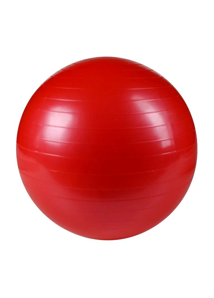 М'яч для фітнесу B6580(Red) 65 см, Bambi (396309245)