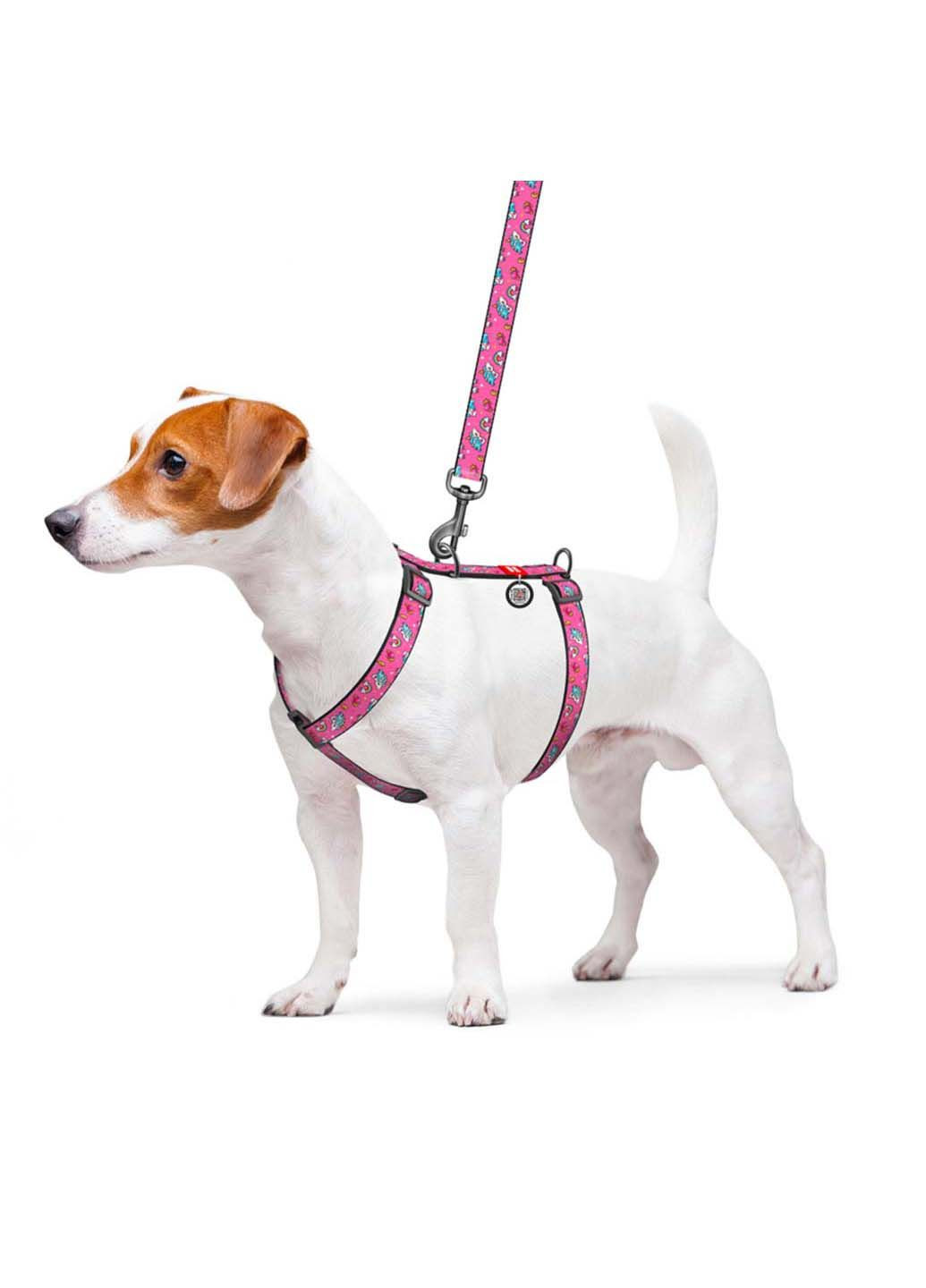 Шлея для собак анатомическая H-образная Nylon Единороги пластиковый фастекс L Ш 25 мм А 50-90 В 60-100 WAUDOG (292175263)