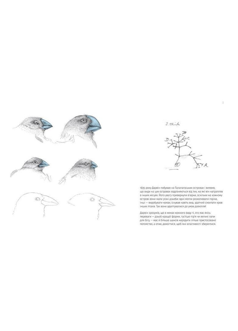 Книга Одинаковые или разные? Геномика Майнеро Франсиско Хавьер Соберон, Бергно Моника (9786176796633) Видавництво Старого Лева (316081406)