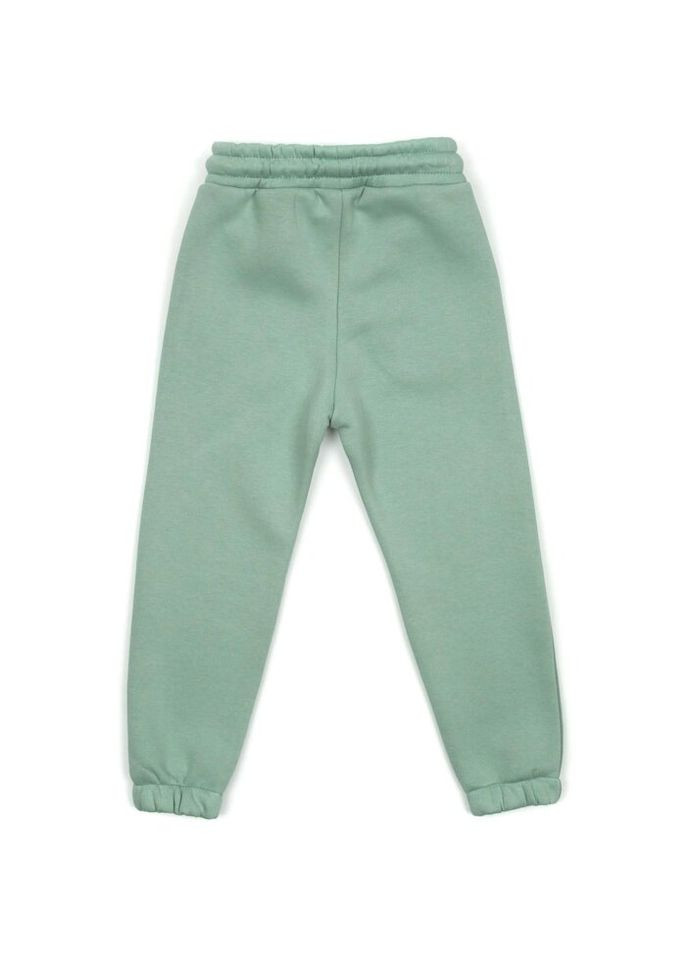 Штани дитячі флісові (CL0154024-128G-green) Cloise (300857413)