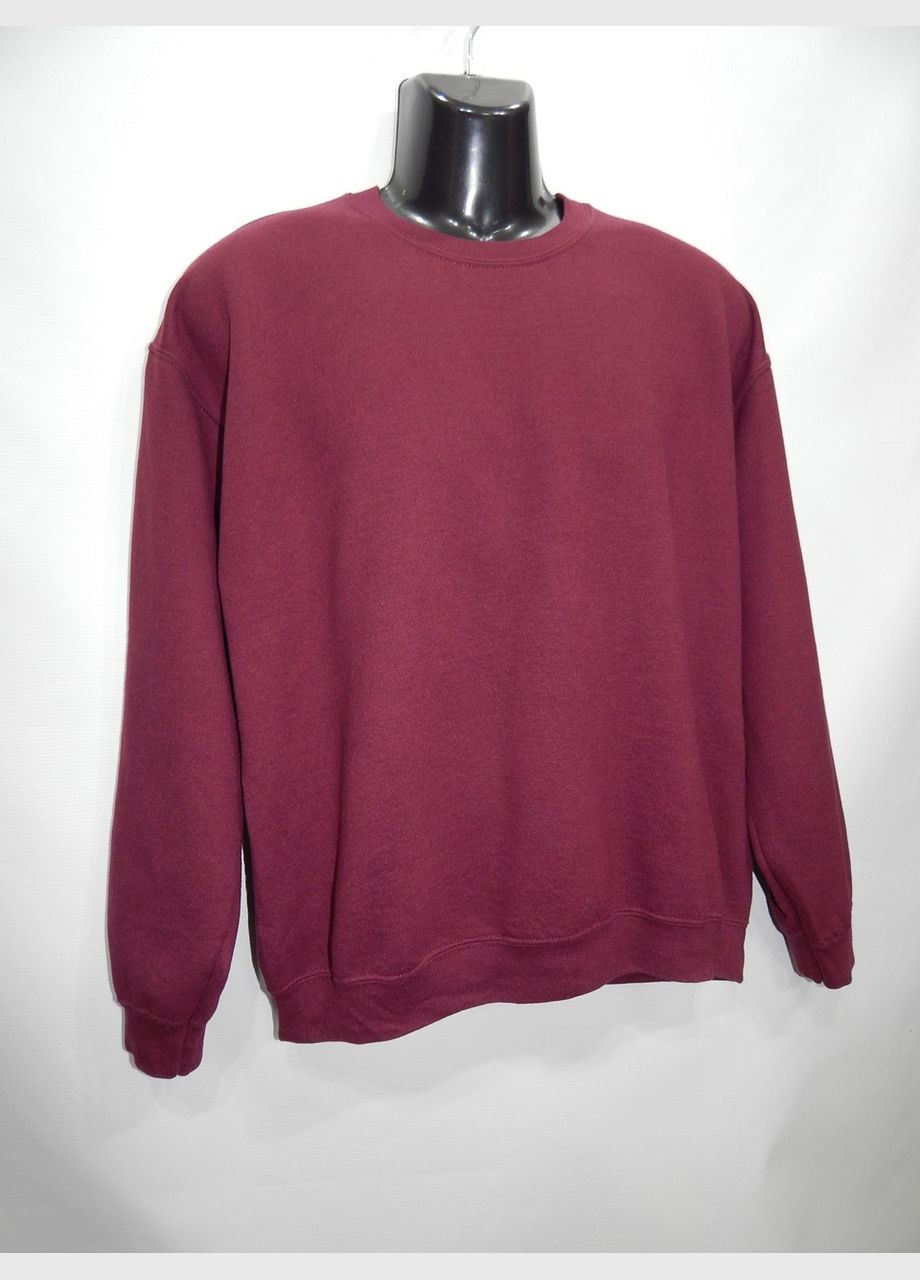 Чоловіча тепла кофта р.50-52 021ZMT (тільки в зазначеному розмірі, тільки 1 шт.) Gildan (315725270)