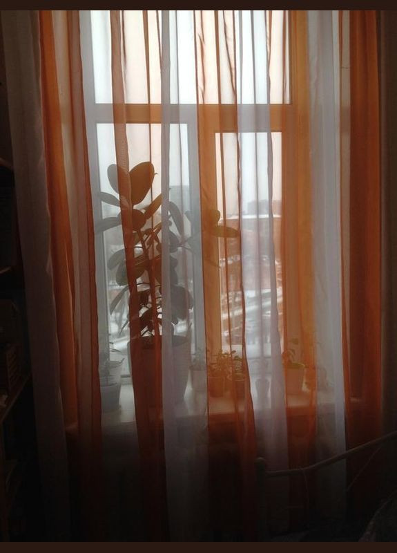 Готовый тюль в бело-оранжевую полоску на кухню, в зал, в детскую 450*270 см. Hanna (317171303)