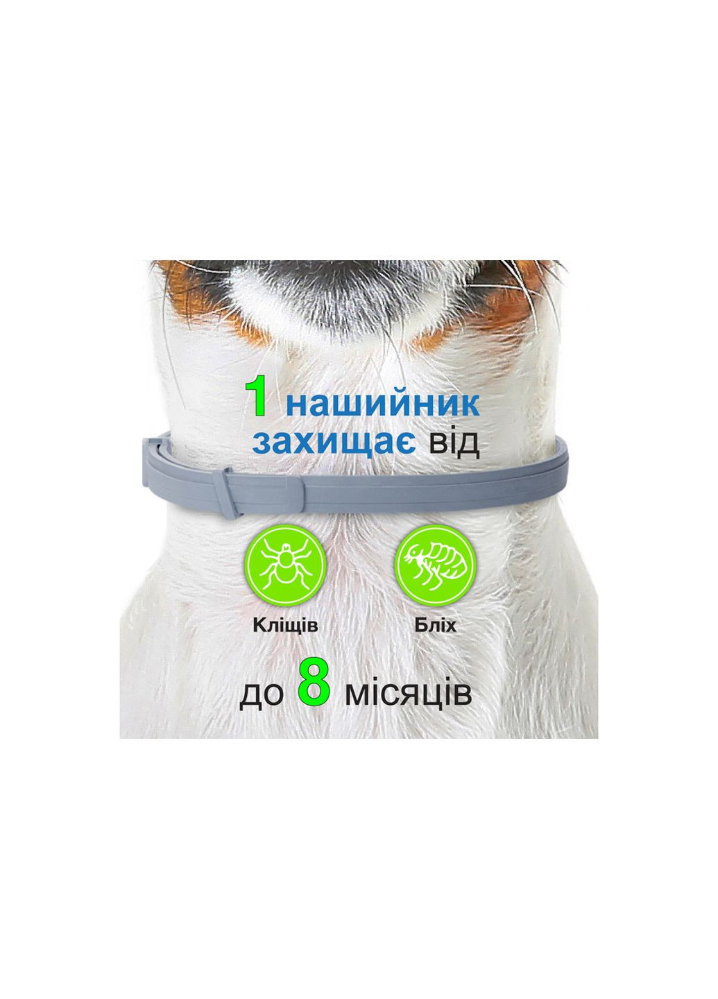 Нашийник інсектицидний Foresto для собак понад 8 кг 70 см 46371 Bayer (267726867)