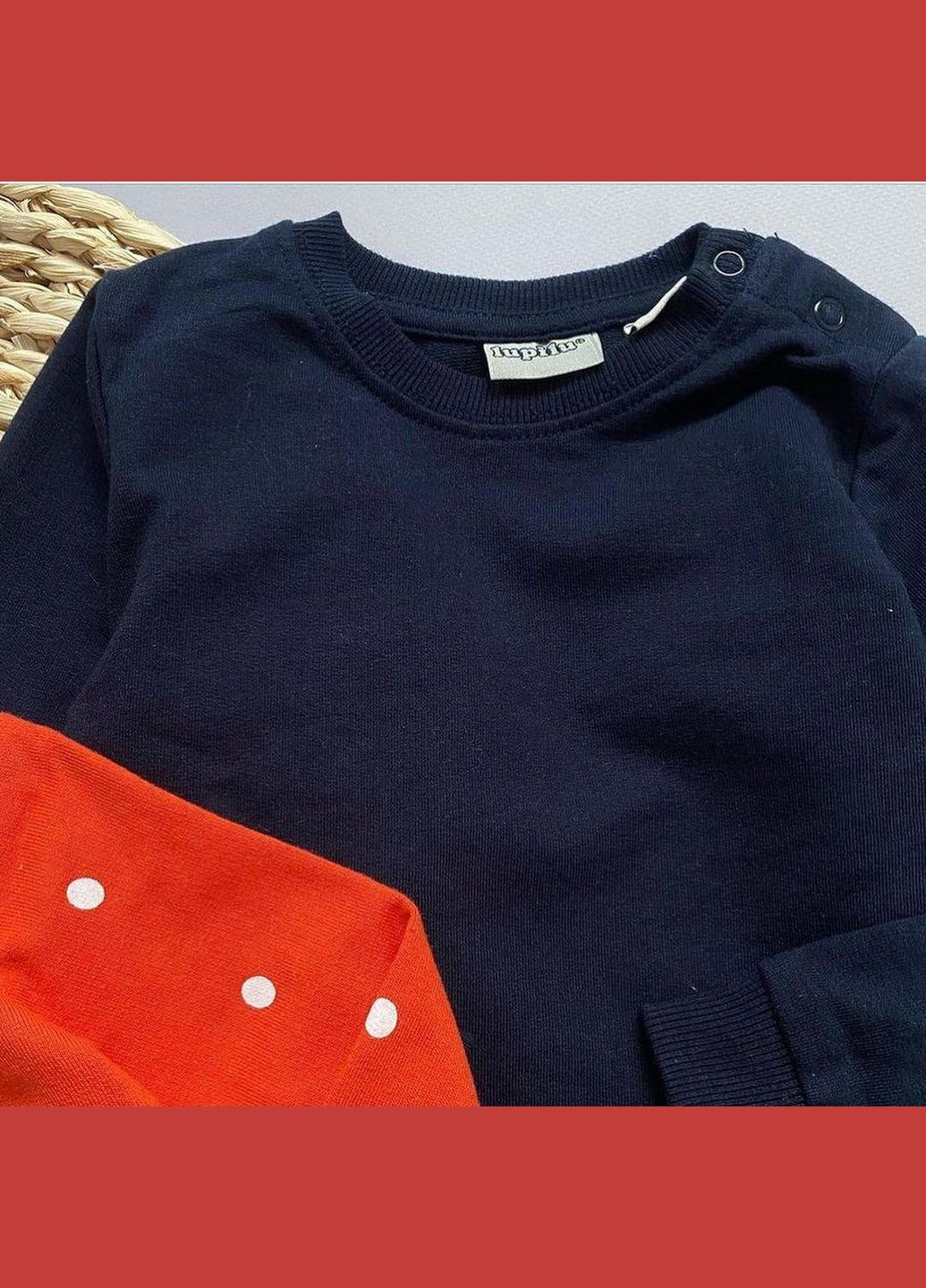 Кофта свитшот набор 2 шт 62-68 см (2-6 мес) темно-синяя, красная Lupilu (315631924)