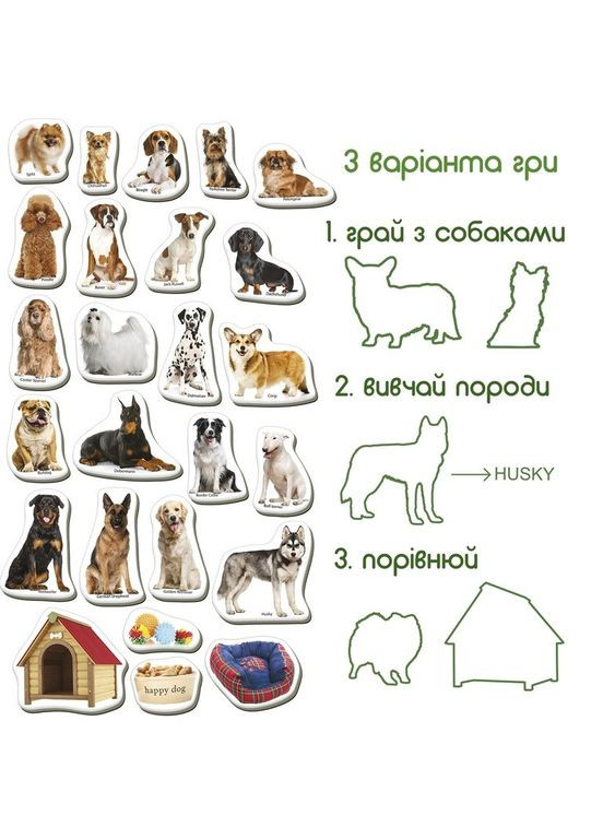 Детский развивающий набор магнитов "Породы собак" ML4031-20EN 24 фотомагниты MAGDUM (334157680)