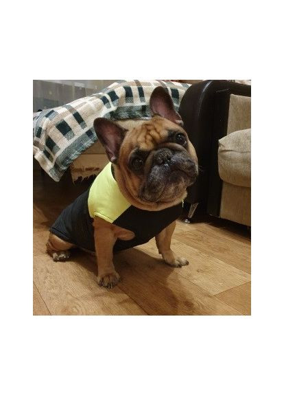 Жилетка для собак з блискавкою на спині Комфорт і захист у дощ No Brand (362136148)