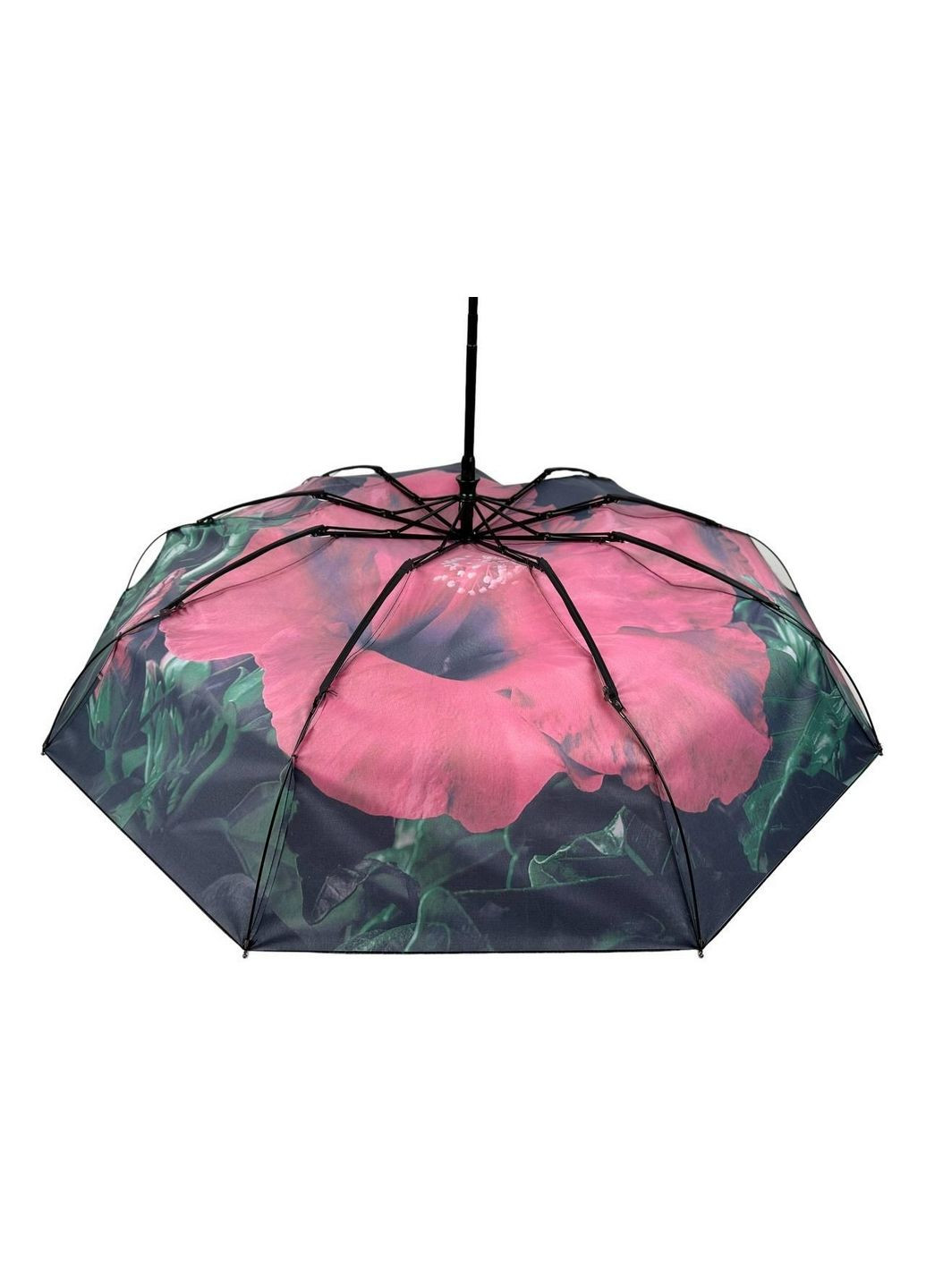 Зонт автомат женский Rain (279325817)