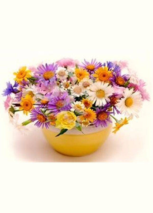 Алмазна мозаїка зі стразами на підрамнику Весняні квіти 20*30 см Чарівний діамант (317259759)