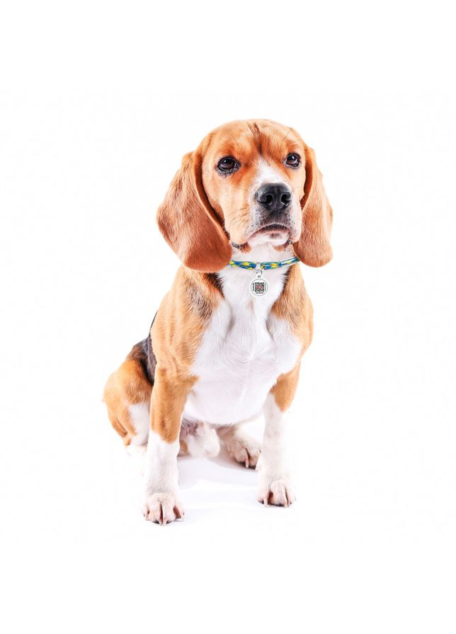 Шнурок для адресника из паракорда Smart ID, светоотражающий, "Colors of freedom", размер, диаметр 4 мм, длина 25-45 см WAUDOG (363200014)