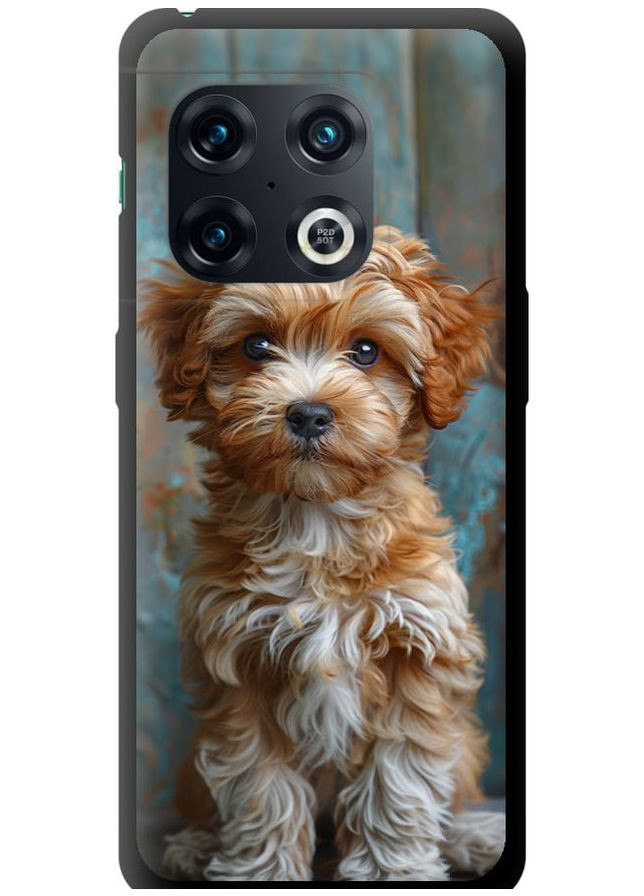 TPU чехол 'Щенок мальтипу' для Endorphone OnePlus 10 Pro (297867957)