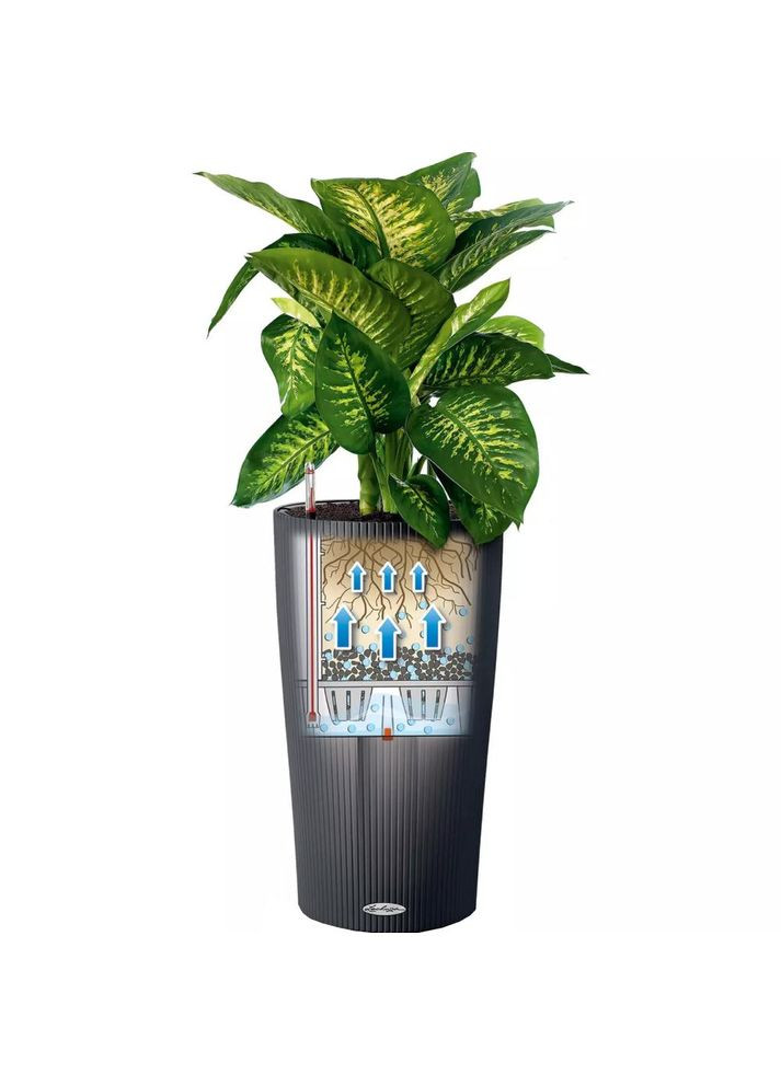 Кашпо Cilindro Color 23 Білий (13940) Lechuza (323204499)