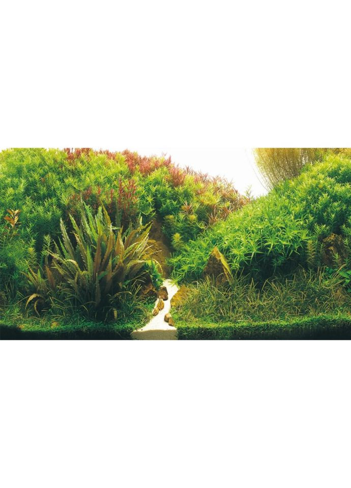 Фон для акваріума Planted River/Green Rocks 60x30см Hobby (321970029)