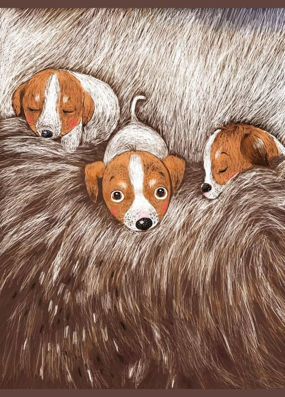 Книга Буду как Патрон Рырых Катажина (9786171701335) Виват (316080783)