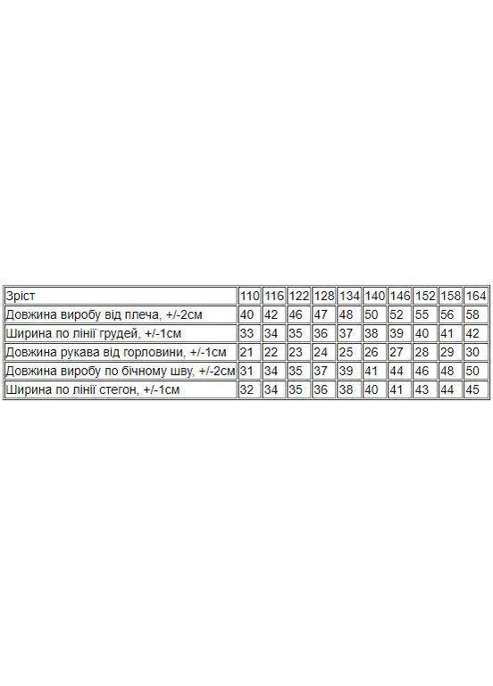 Синий летний комплект для мальчика (футболка+бриджи) hc (h001-6356-057-33) No Brand