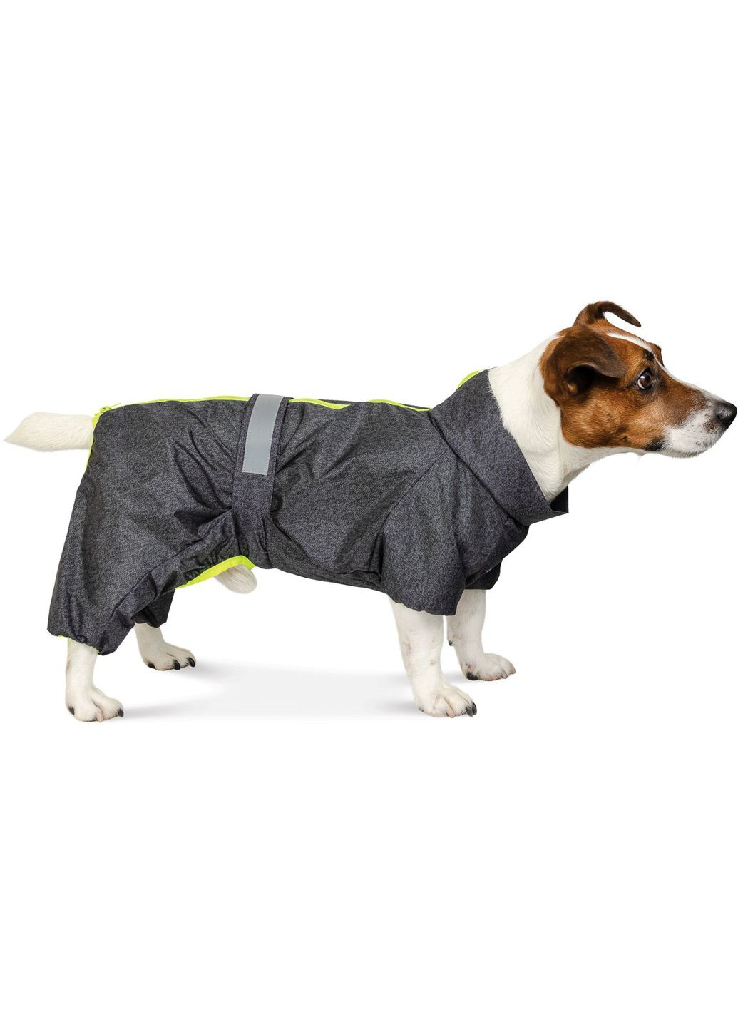 Комбинезон для средних собак RAIN Active такса (4823082416332) Pet Fashion (279570417)