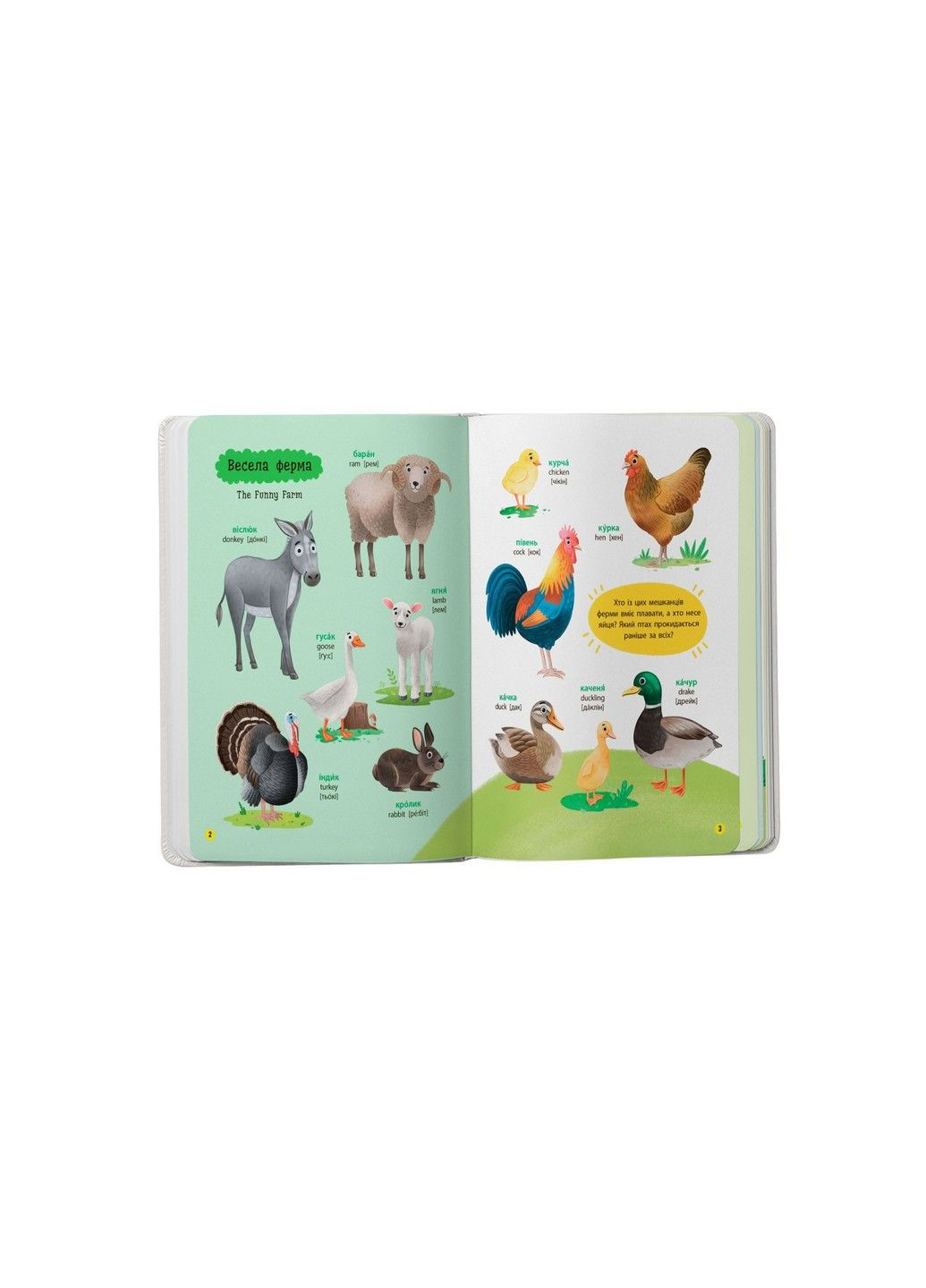 150 первых слов. Животные Екатерина Столяренко Crystal Book (327876424)