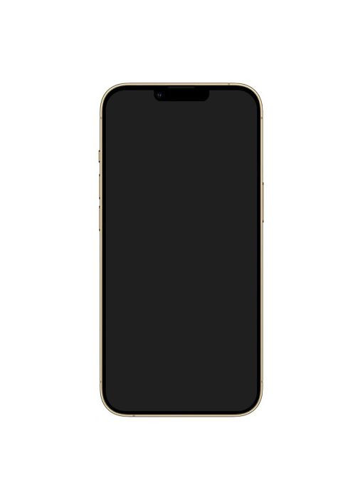 Муляж Dummy Model Gold (ARM60533) No Brand iphone 13 pro (265533814)