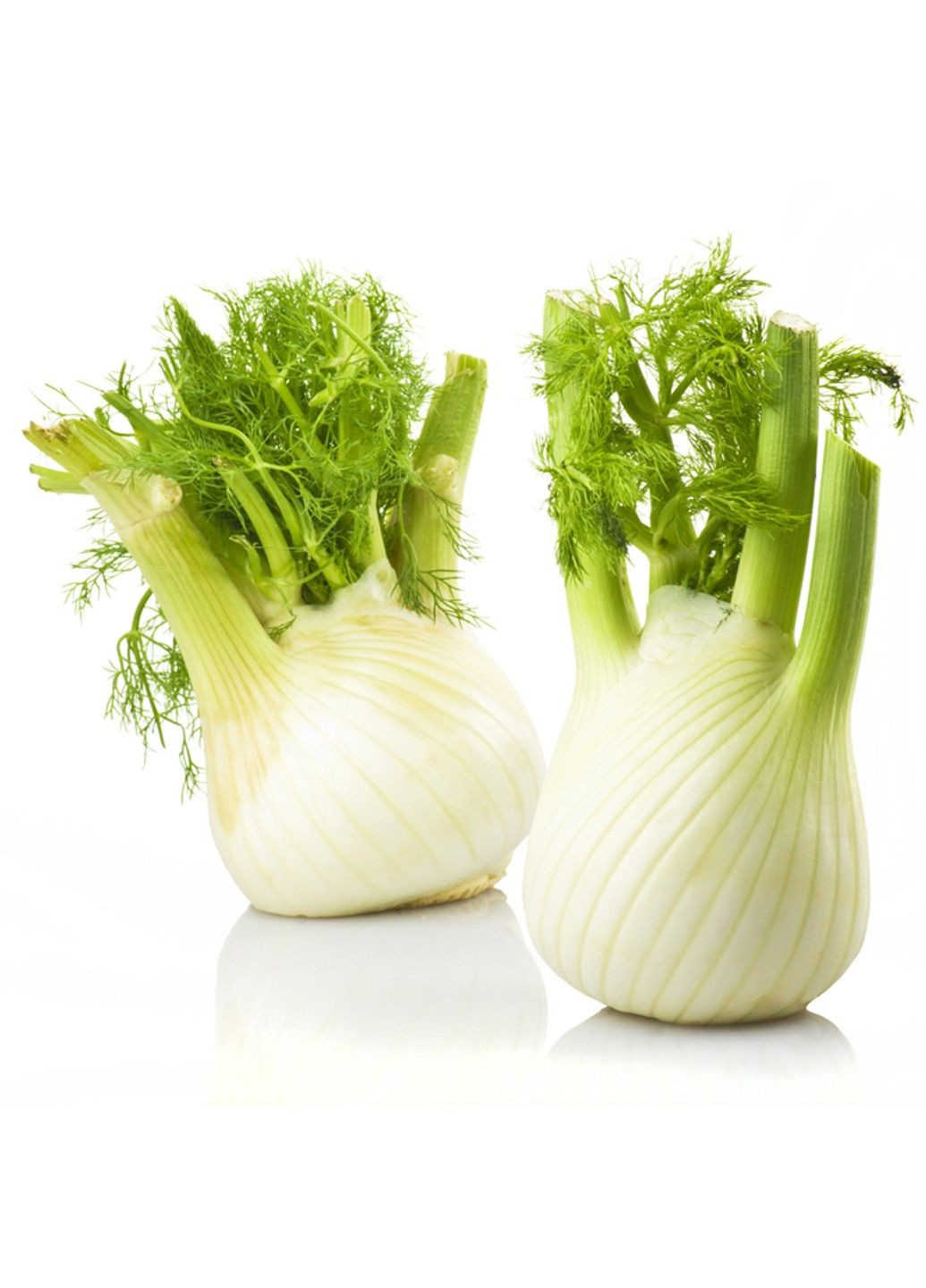 Насіння фенхель, Польща Legutko (333339606)