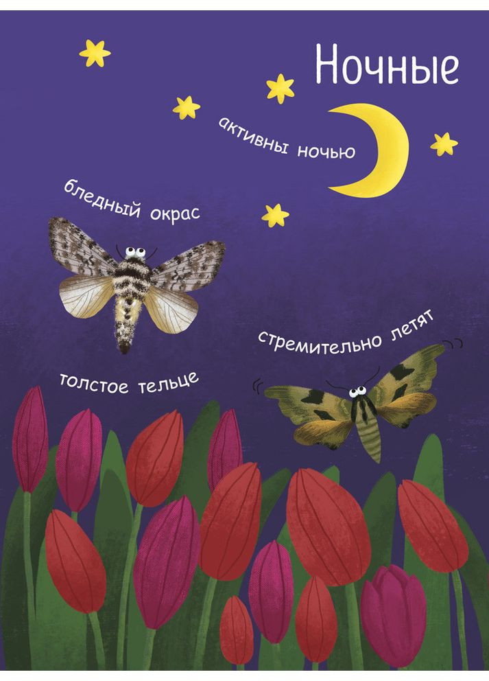 Как рождается бабочка? No Brand (370439958)