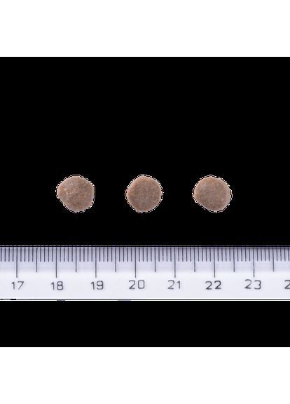 Сухой корм Dog Grain-free Puppy для щенков, беззерновой с лососем, 12 кг Brit Care (349823553)