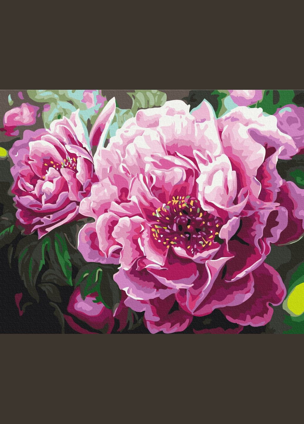 Картина по номерам "Роскошный пион" 40х50 см Brushme (364840360)