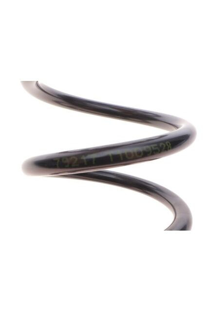 Пружини підвіски Lesjofors (369154625)