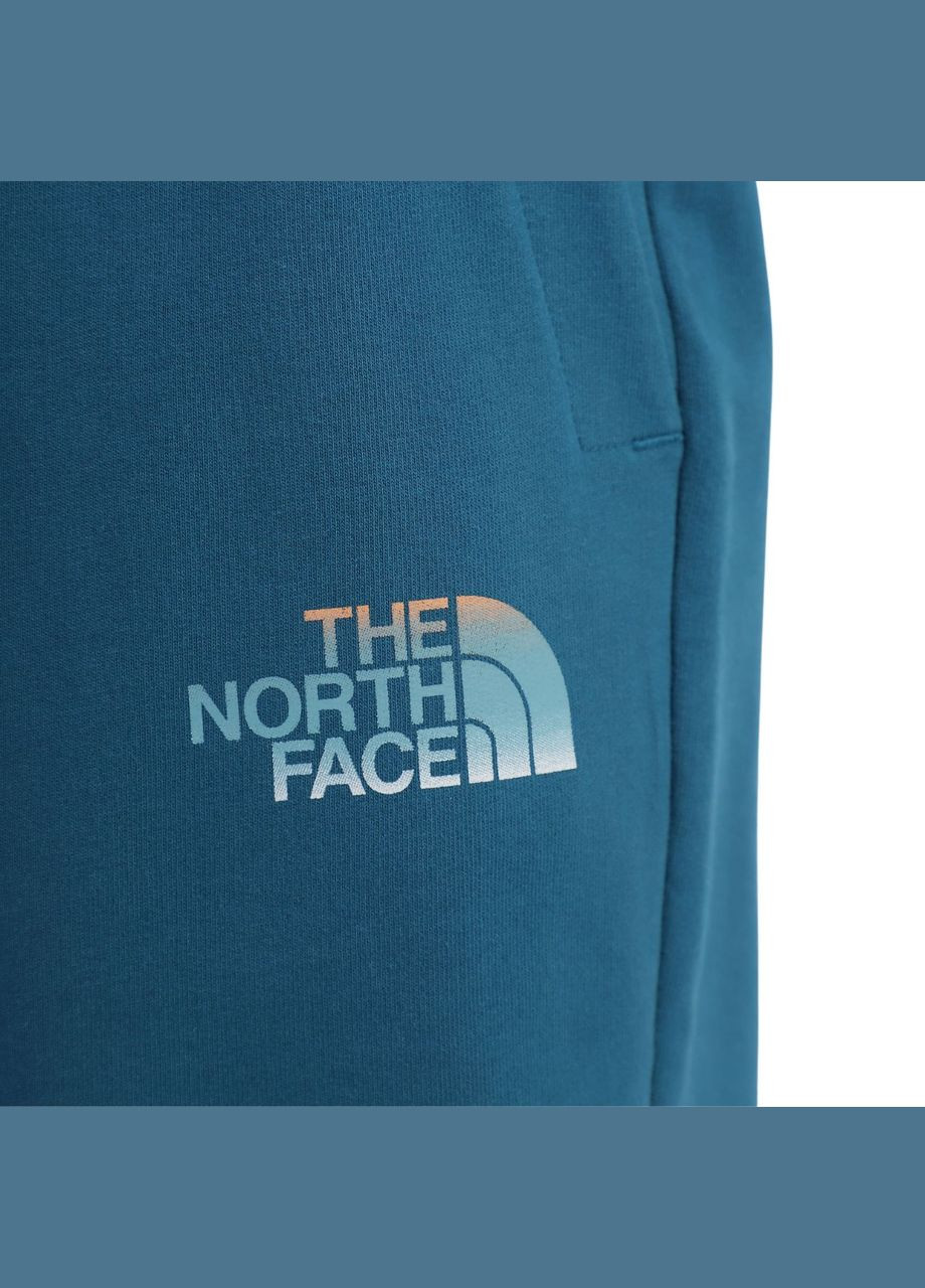 Шорти The North Face (284162829)