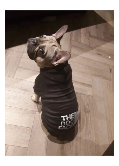 Кофта для собак с капишоном M No Brand (362136132)