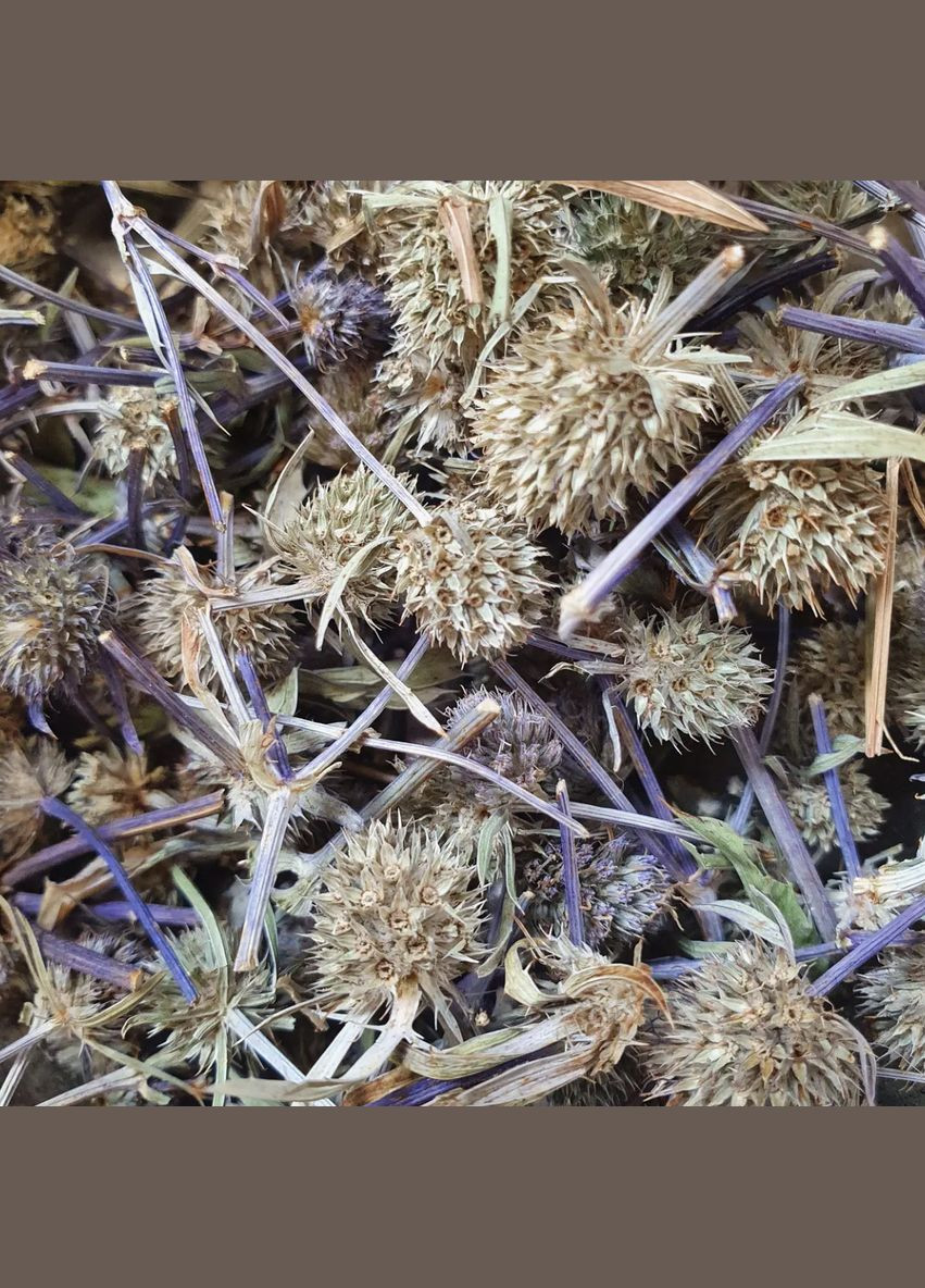 100 г синеголовник плосколистный трава сушеная - свежий урожай No Brand (332998369)