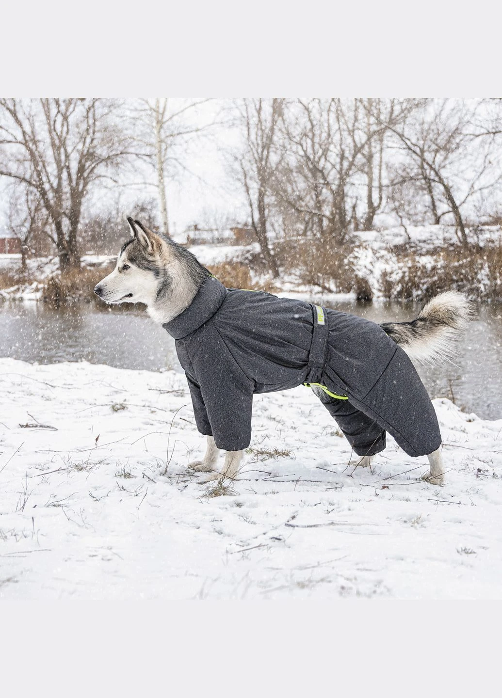 Комбинезон COLD Cерый (4823082426256) Pet Fashion (318101186)