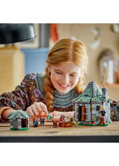 Конструктор Будиночок Хагріда Несподівані гості деталей 76428 896 деталей No Brand (361025579)