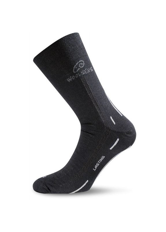 Шкарпетки WS L Lasting (278005159)