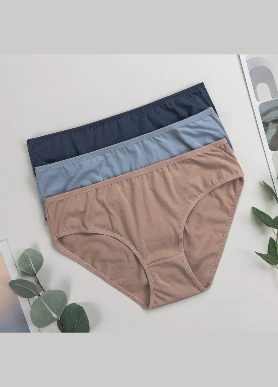 Трусики-сліпи жіночі трійки 3 шт Dominant (340462298)