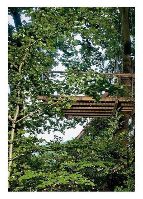 Книга Tree Houses. 40th Ed. (9783836593397) Taschen (364654025)