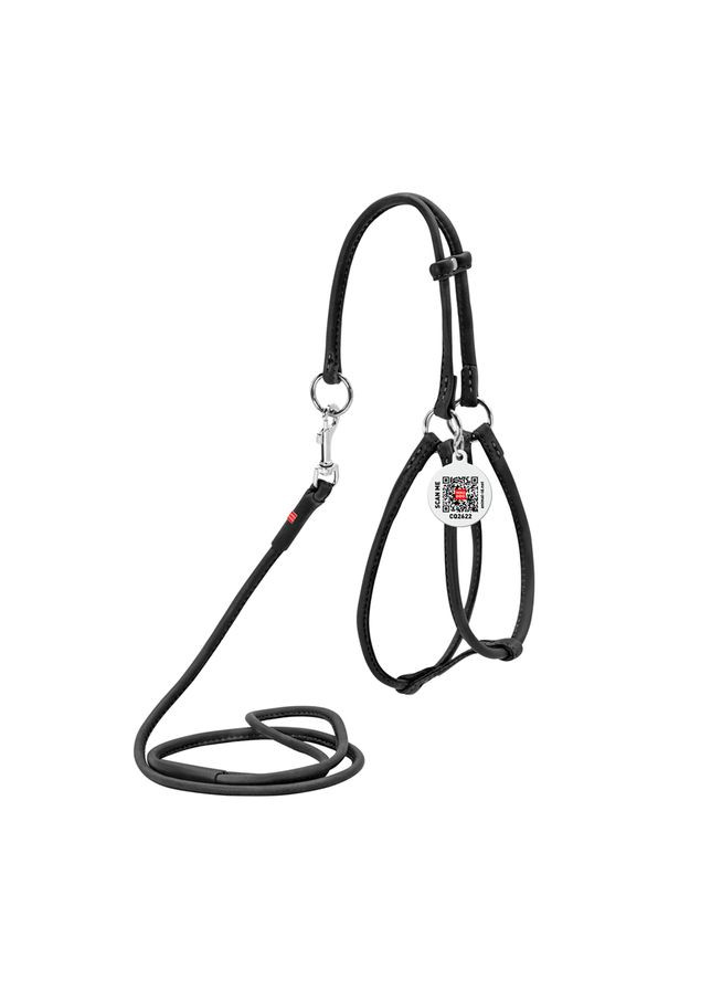 Шлея с поводком для собак кожаная Soft c QR паспортом, круглая, Д 6 мм, А 26-46 см, В 30-50 см WAUDOG (364100307)