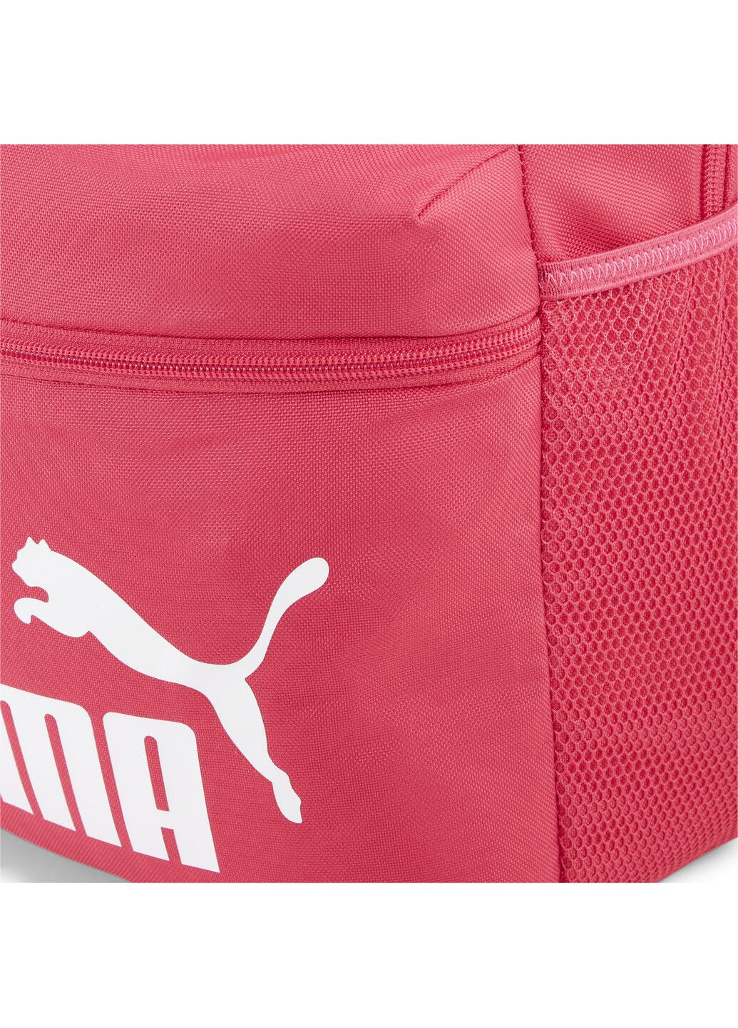 Рюкзак Phase Backpack Puma (278653263)