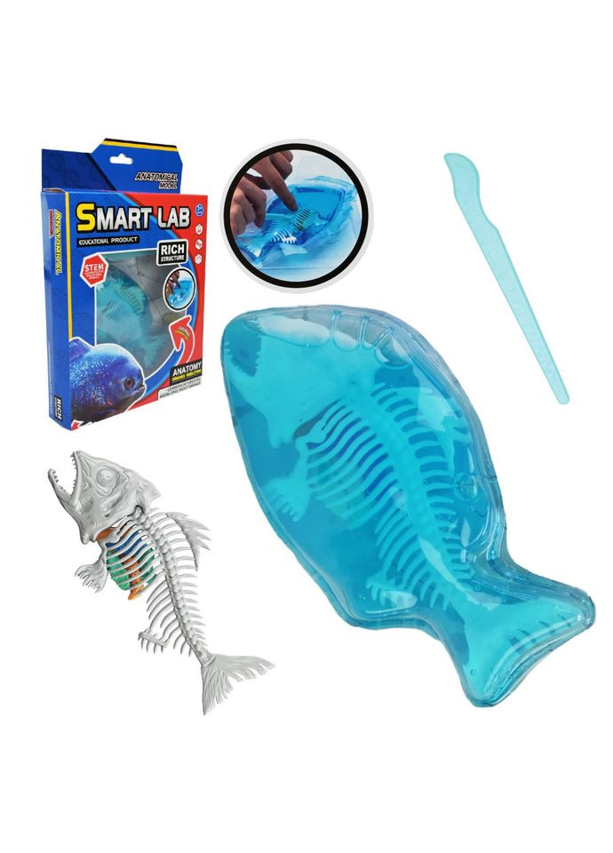 Дитячий лабораторнний набір "Піран’я" 802B, скелет, внутрішні органи Bambi (364489383)