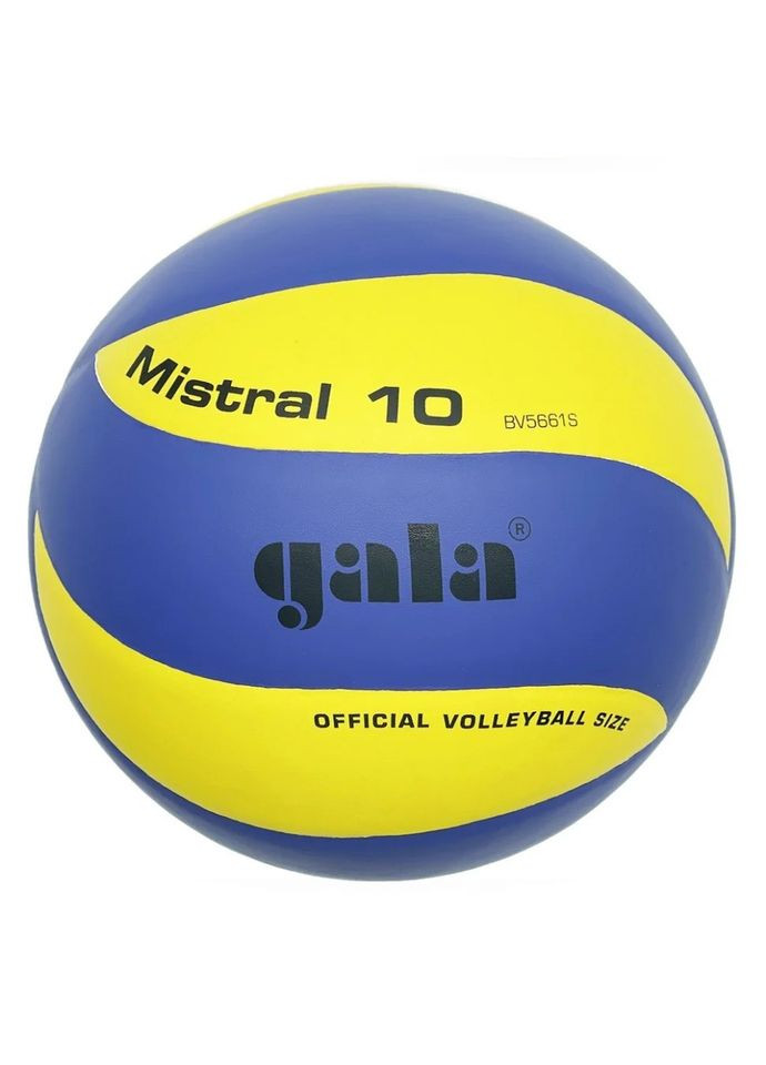 М'яч волейбольний тренувальний Mistral 10 NE-GALA-M10 № 5 Newt (340113548)