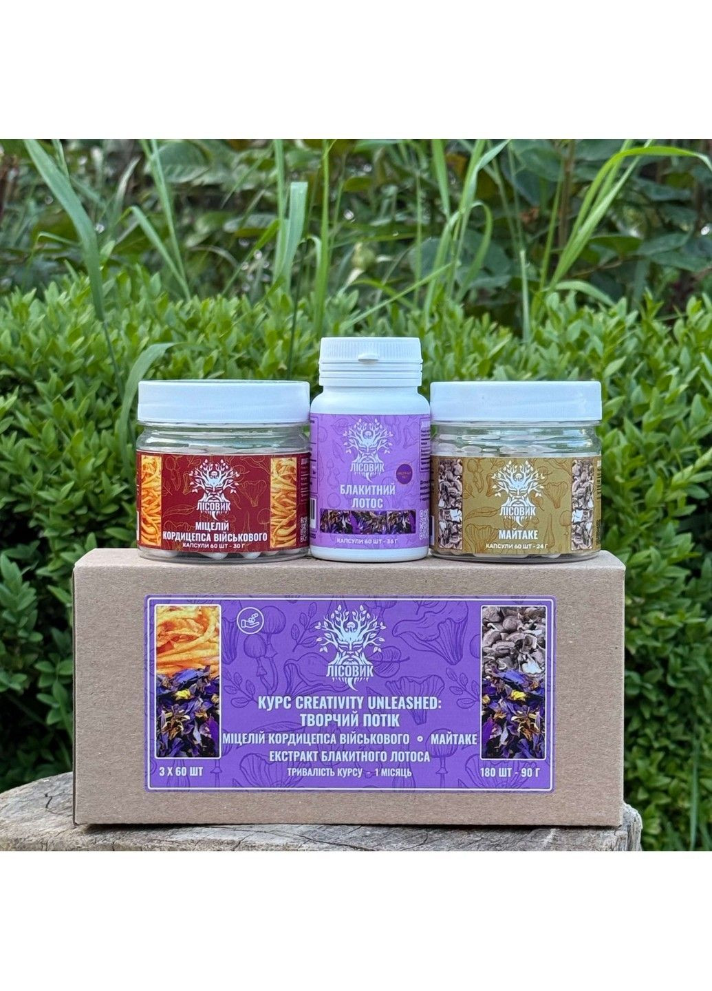 Курс Creativity Unleashed Творчий потік (1 місяць) Лісовик (364210580)