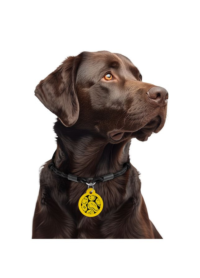 Адресник для собак і котів металевий Smart ID c QR паспортом, малюнок «Смайли на чорному», коло, Д 30 мм WAUDOG (330245329)